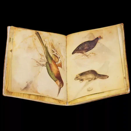 Il Taccuino dei disegni di Giovannino de Grassi