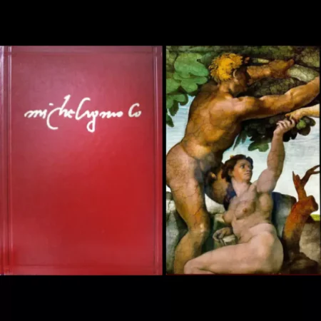 Der Neue Michelangelo. Wiedergeburt der wahren Farben in der Sixtinischen Kapelle